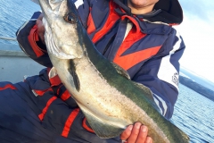 Fiskkers Natuurreizen, Noorwegen vissen
