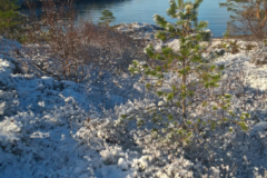 hitra vagen camping