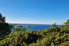 2024-Hitra-Natuur1