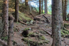 2024-Hitra-Natuur6