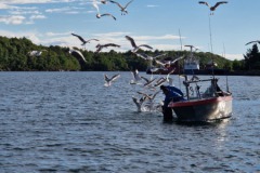 2024-Hitra-boot3
