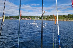 2024-Hitra-boot7