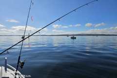 IMG-20240614-WA0002