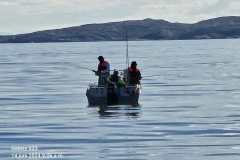 IMG-20240614-WA0005