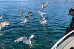 WhatsApp-Image-2026-05-16-at-10.07.15