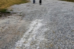 fotos-telefoon-klaas-811